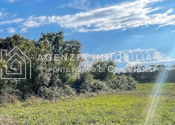 Building land Ravenna (neighborhood Lido di Classe) - photo 2