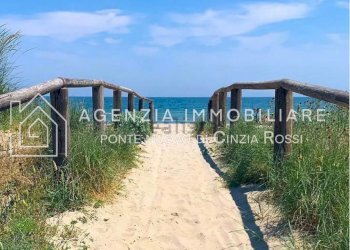 Building land Ravenna (neighborhood Lido di Classe) - photo 6