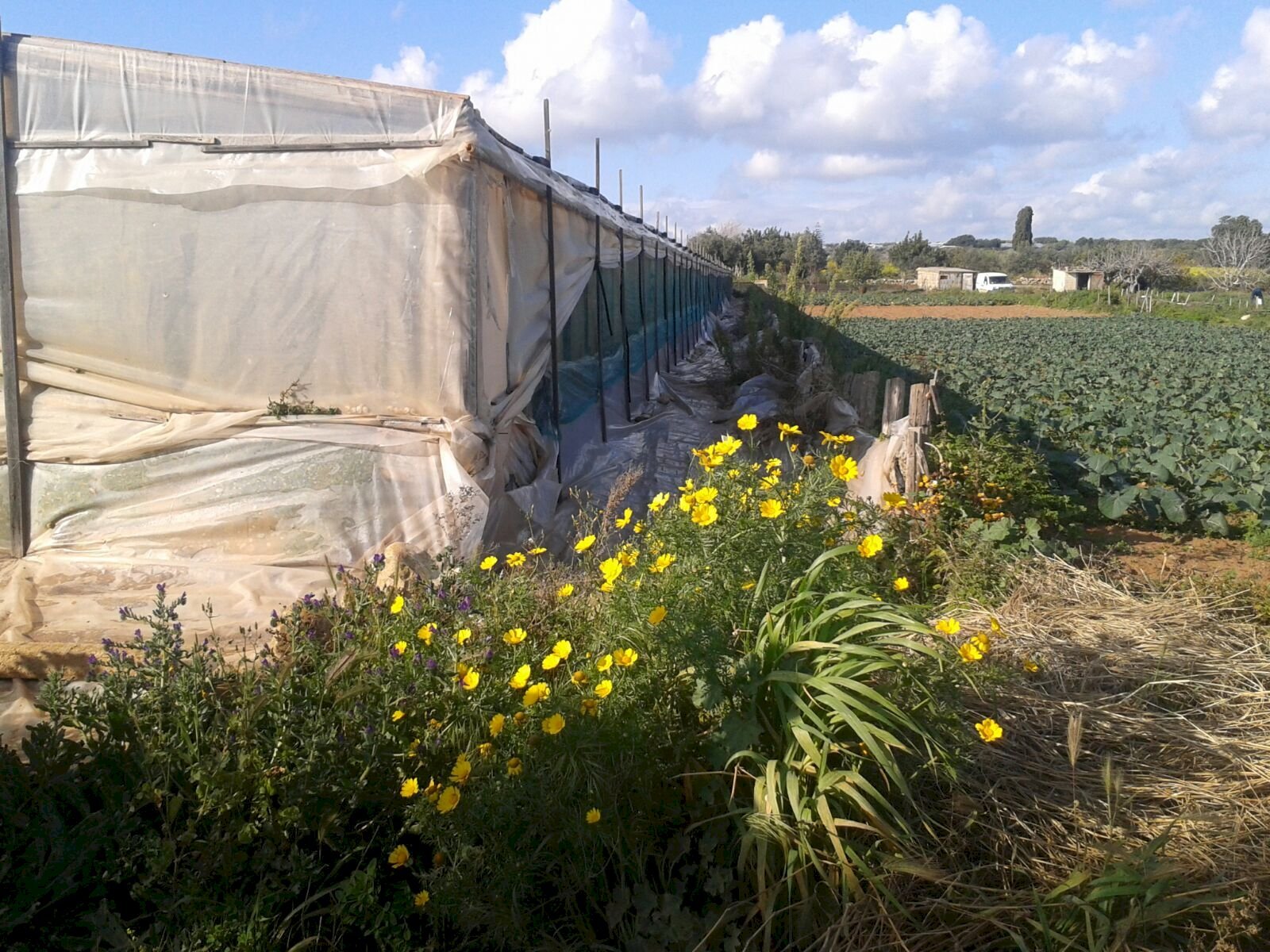 Agricultural land contrada Boscorotondo, Scicli - photo 1