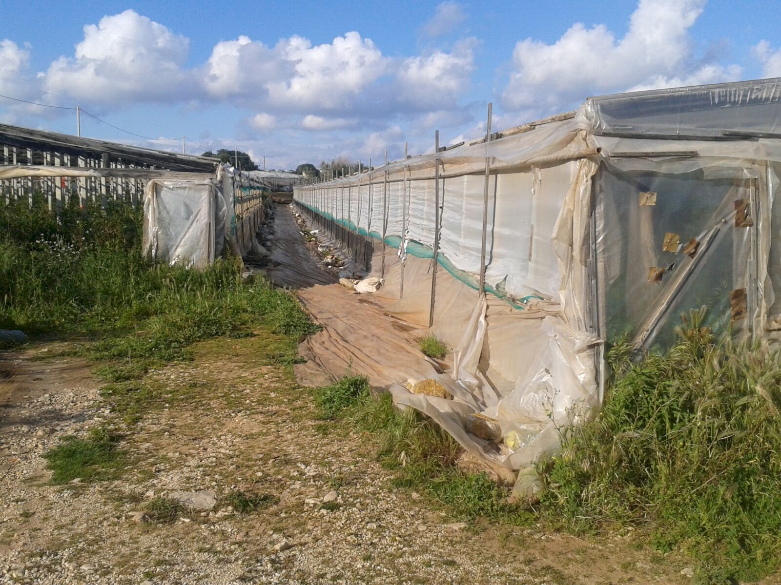 Agricultural land contrada Boscorotondo, Scicli - photo 3