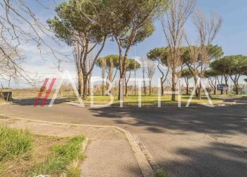 Study Viale Francesco Pasinetti, Roma - photo 7