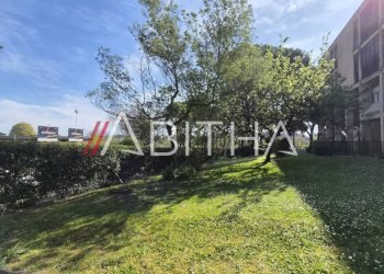 Study Viale Francesco Pasinetti, Roma - photo 13