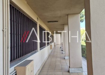 Study Viale Francesco Pasinetti, Roma - photo 14