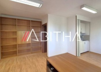 Study Viale Francesco Pasinetti, Roma - photo 16