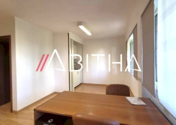 Study Viale Francesco Pasinetti, Roma - photo 21