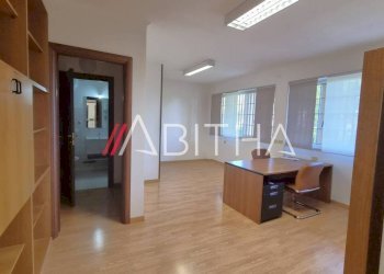 Study Viale Francesco Pasinetti, Roma - photo 24