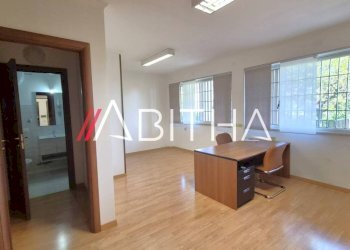 Study Viale Francesco Pasinetti, Roma - photo 34