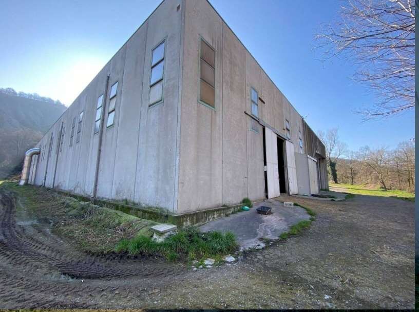 Capannone Serramazzoni - foto 3