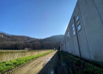 Capannone Serramazzoni - foto 2