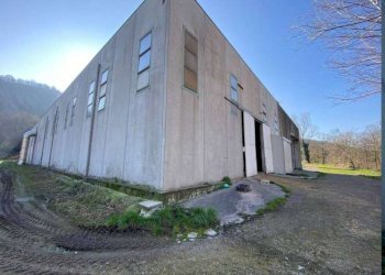 Capannone Serramazzoni - foto 3