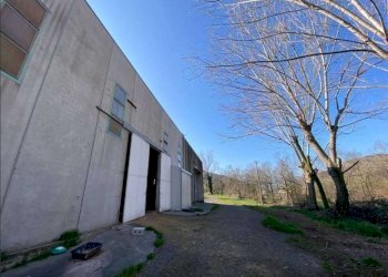 Capannone Serramazzoni - foto 4