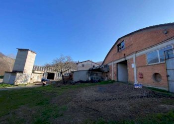 Capannone Serramazzoni - foto 8