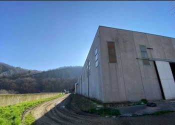 Capannone Serramazzoni - foto 14