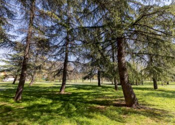 Quadrilocale Imola - foto 32