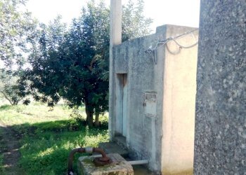 Capannone contrada San Giovanni Lo Pirato, Scicli - foto 5