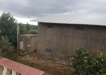 Capannone contrada San Giovanni Lo Pirato, Scicli - foto 9