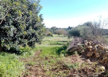 Capannone contrada San Giovanni Lo Pirato, Scicli - foto 10