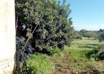 Capannone contrada San Giovanni Lo Pirato, Scicli - foto 11