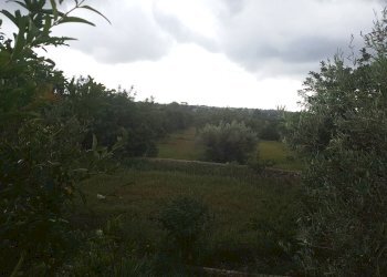 Capannone contrada San Giovanni Lo Pirato, Scicli - foto 12