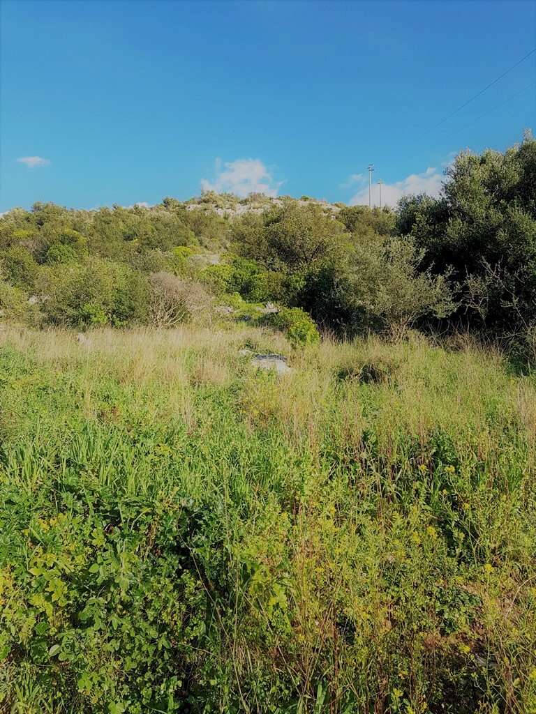 Agricultural land c.da Milocca/Fiumelato, Scicli - photo 2