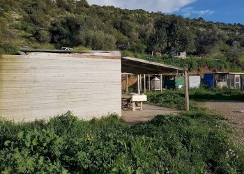 Agricultural land c.da Milocca/Fiumelato, Scicli - photo 4