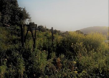 Agricultural land c.da Milocca/Fiumelato, Scicli - photo 8