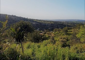 Agricultural land c.da Milocca/Fiumelato, Scicli - photo 9