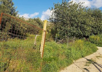 Agricultural land c.da Milocca/Fiumelato, Scicli - photo 10
