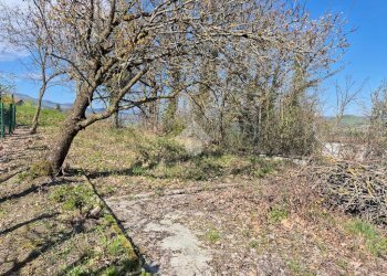 Casa semi indipendente Località Borzano, Canossa - foto 30