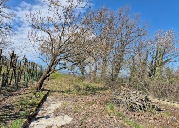 Casa semi indipendente Località Borzano, Canossa - foto 31