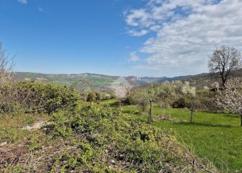 Casa semi indipendente Località Borzano, Canossa - foto 33