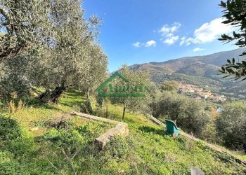 Foto 46 - Villa Diano Borello, Diano Marina - foto 46