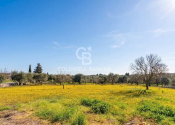 Foto 12 - Baita Contrada Chiobbica
snc, Cisternino - photo 12