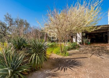 Foto 13 - Baita Contrada Chiobbica
snc, Cisternino - photo 13