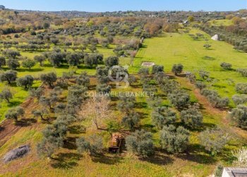 Foto 14 - Baita Contrada Chiobbica
snc, Cisternino - photo 14