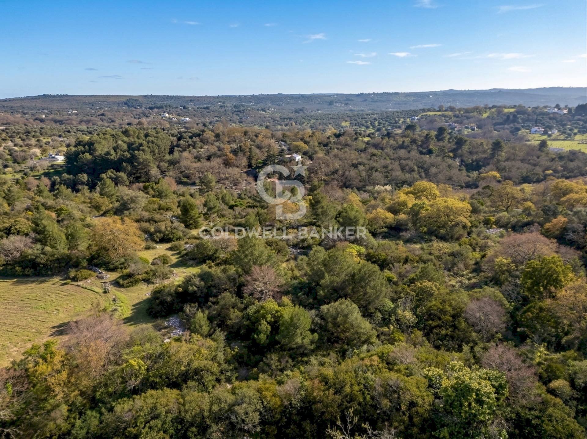 Foto 3 - Baita Contrada Pascarosa
 
snc, Ostuni - foto 3