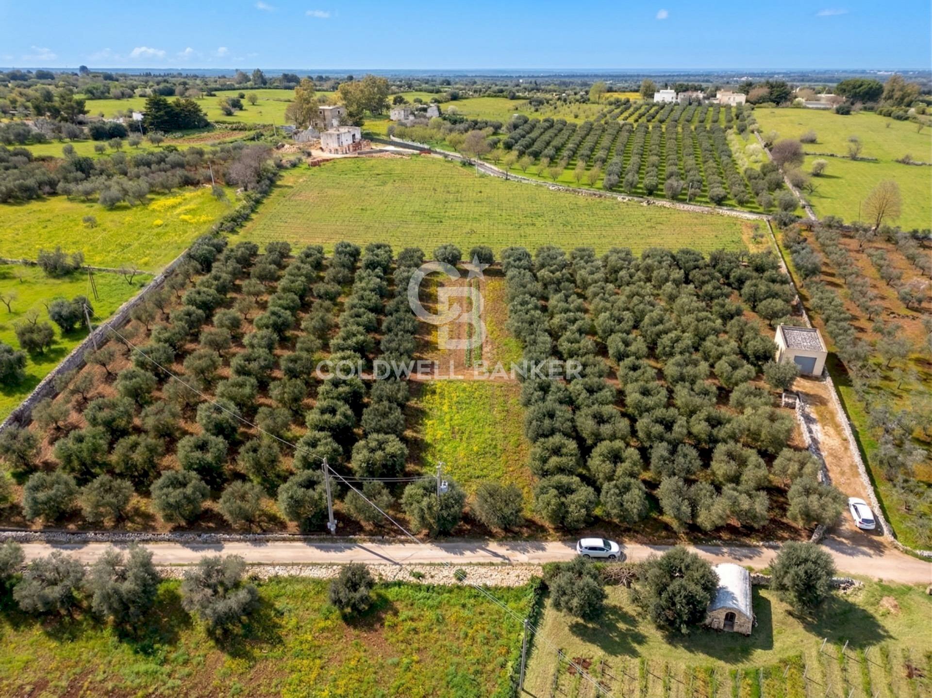 Foto 2 - Terreno agricolo contrada chiobbica
 
snc, Ostuni - foto 2