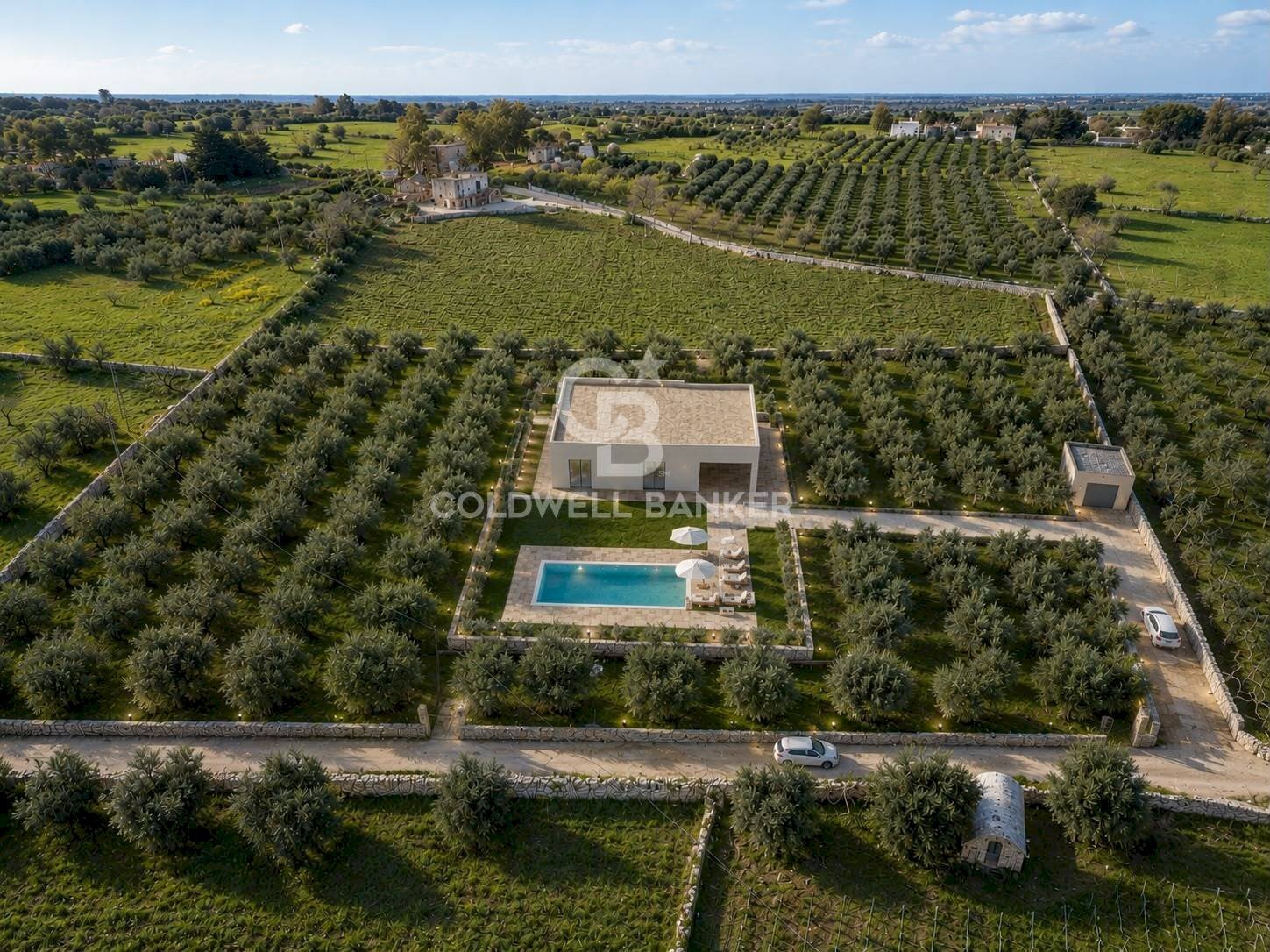 Foto 1 - Terreno agricolo contrada chiobbica
 
snc, Ostuni - foto 1