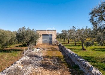 Foto 1 - Terreno agricolo contrada chiobbica
 
snc, Ostuni - foto 1