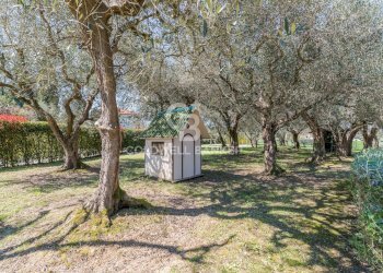 Foto 51 - Villa Via San Giovanni
 
56, Misano Adriatico - foto 51