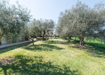 Foto 66 - Villa Via San Giovanni
 
56, Misano Adriatico - foto 66