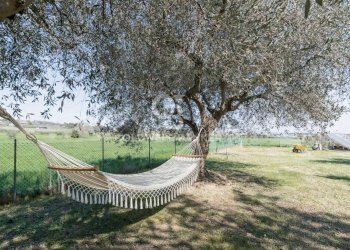 Foto 67 - Villa Via San Giovanni
 
56, Misano Adriatico - foto 67