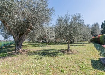 Foto 68 - Villa Via San Giovanni
 
56, Misano Adriatico - foto 68