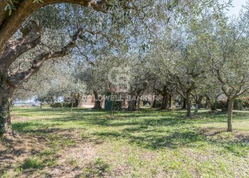 Foto 69 - Villa Via San Giovanni
 
56, Misano Adriatico - foto 69