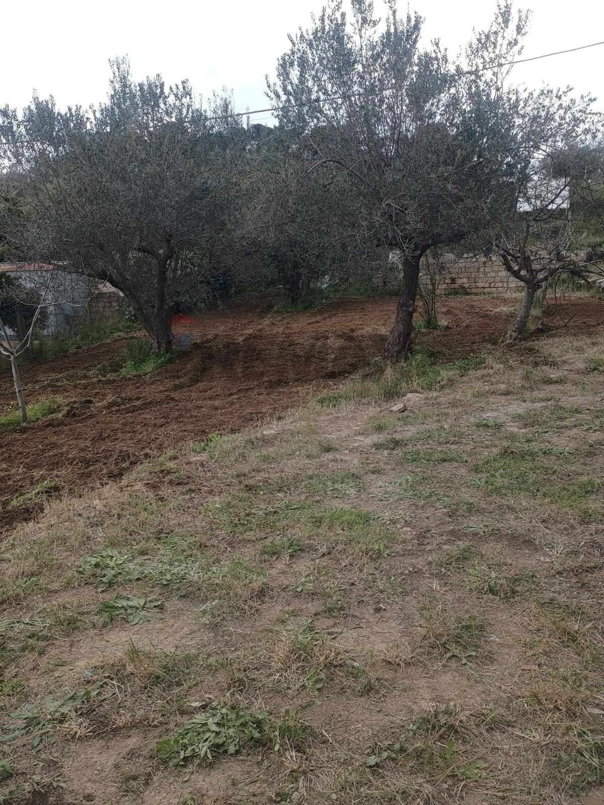 Giardino - Building land Via Giuseppe Garibaldi
 
24, Caltagirone - photo 1