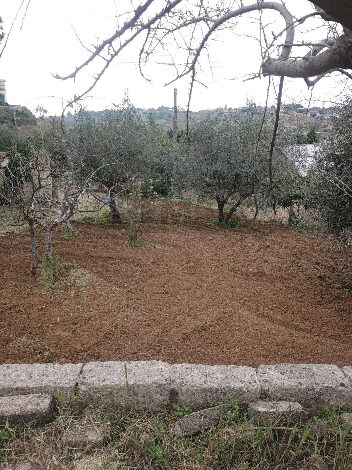 Giardino - Building land Via Giuseppe Garibaldi
24, Caltagirone - photo 2