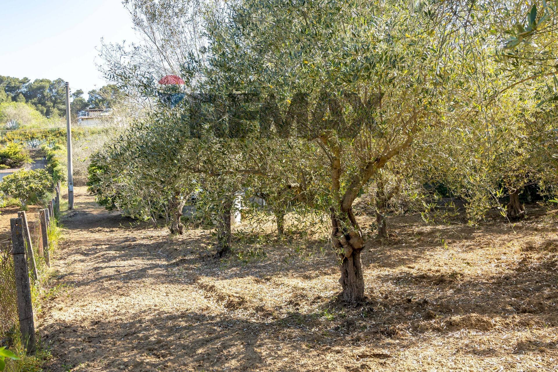 Giardino - Building land Via Giuseppe Garibaldi
24, Caltagirone - photo 2