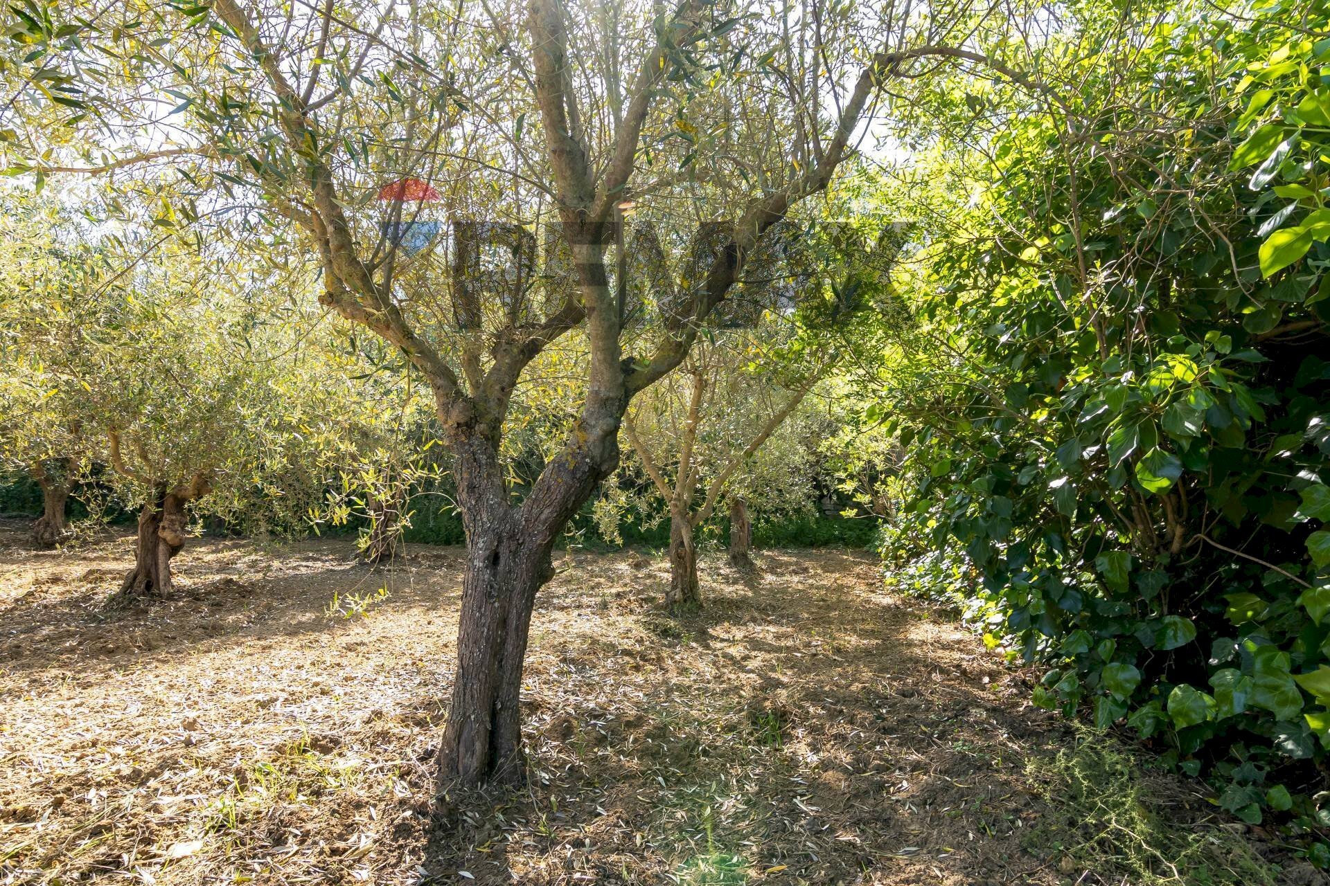 Giardino - Building land Via Giuseppe Garibaldi
24, Caltagirone - photo 3