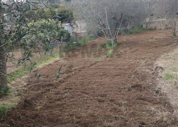 Giardino - Building land Via Giuseppe Garibaldi
 
24, Caltagirone - photo 3