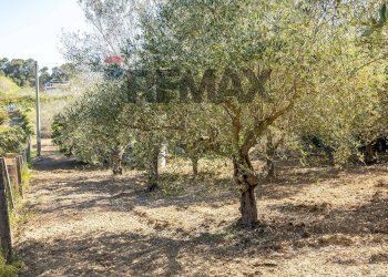 Giardino - Building land Via Giuseppe Garibaldi
24, Caltagirone - photo 2